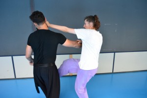 hunggarnancy-artsmartiaux-wushu-kungfu-ericbourbonnais-18juin2016-12   